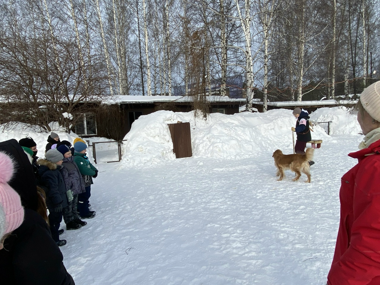 Новости классов.